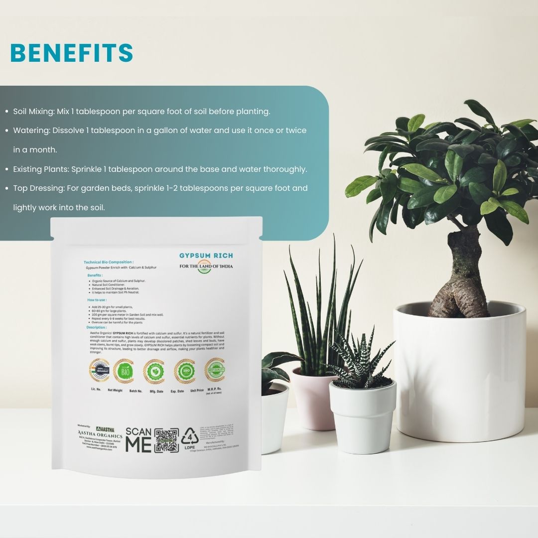 Root Special Combos - Image 3