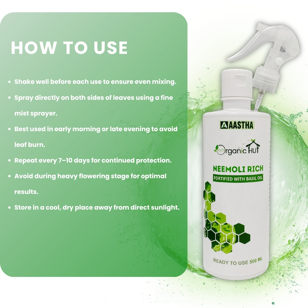 NEEMOLI RICH – Fortified with Basil Oil - Image 3