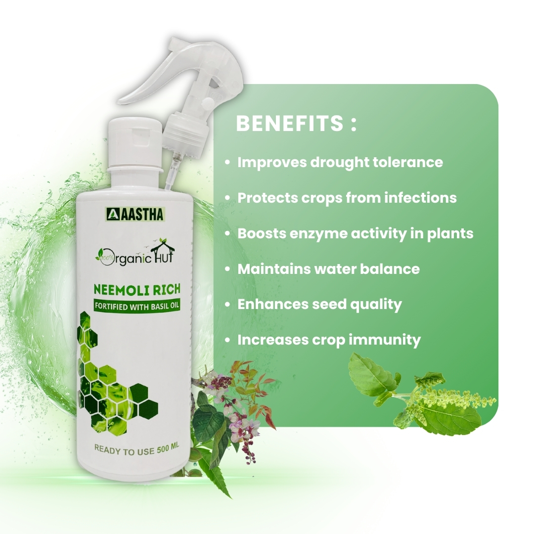 NEEMOLI RICH – Fortified with Basil Oil - Image 2